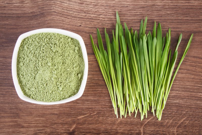 Gerstengraspulver und das unverarbeitete Gerstengras
