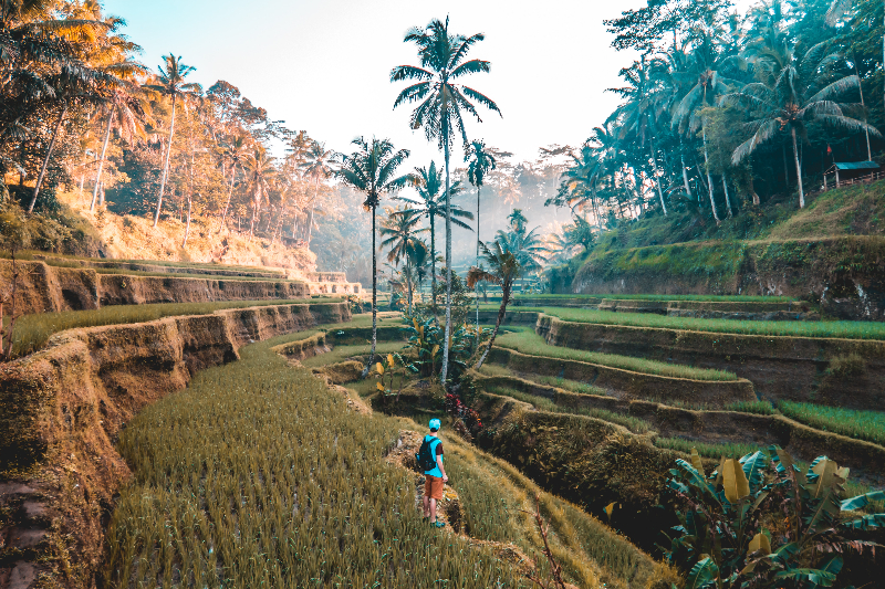 Indonesien Bali Reisen
