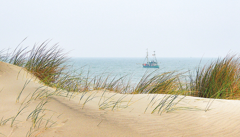 Die Dünen der Nordsee vor dem Meer selbst - mit einem vorbei tuckerndem Schiff ein wahrgewordener Traum.