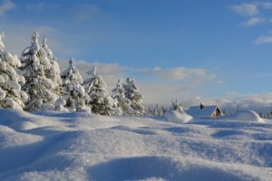 schneebedeckte Landschaft