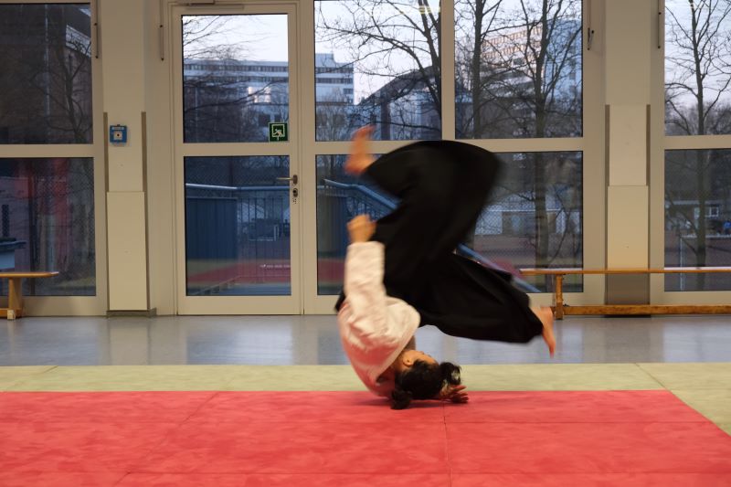 Aikido-Verband Hamburg e.V.